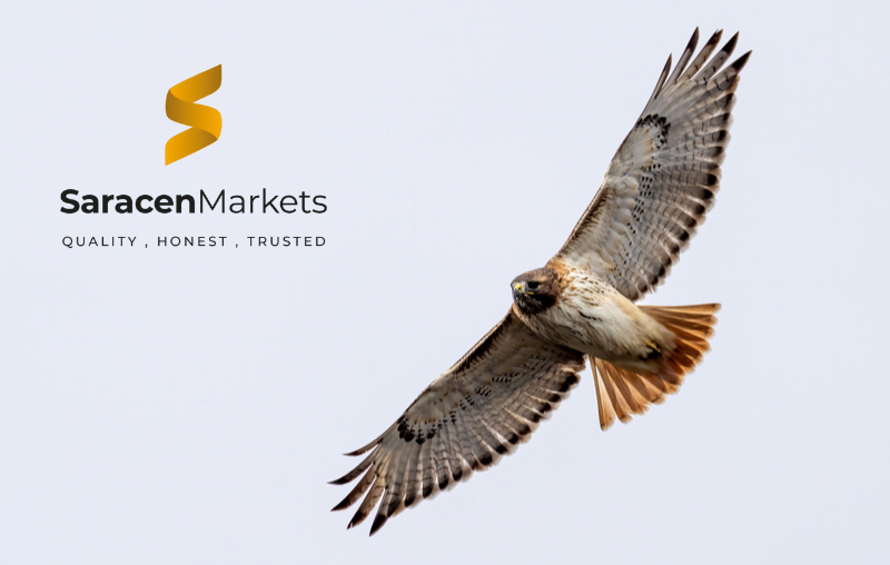 U.S. Markets Poised for Gains Amid Global Bond Yield Rise and Currency Movements 1