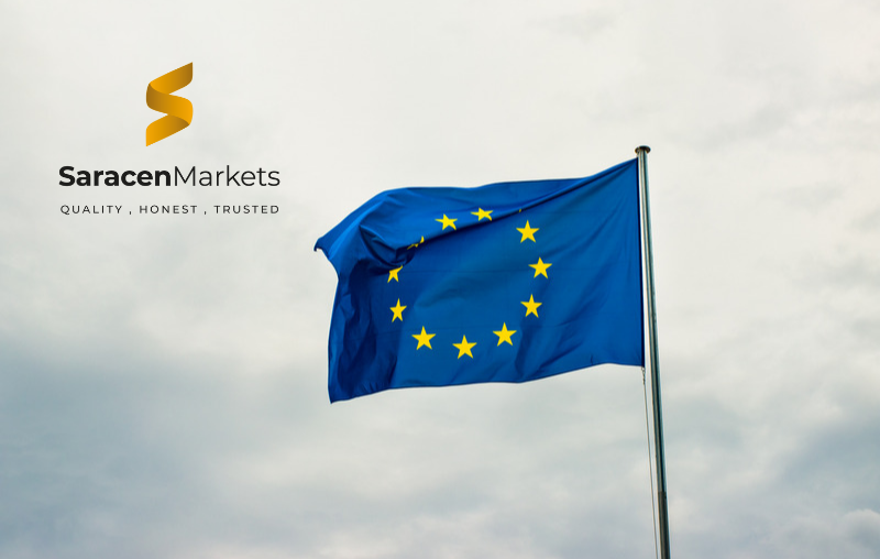 ECB Poised for Second Consecutive Rate Cut Amid Mounting Economic Challenges 15